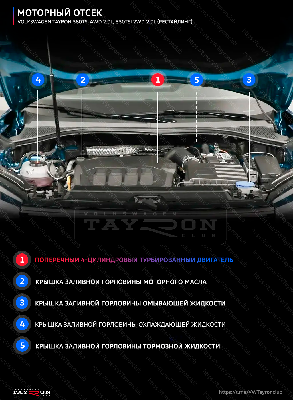 Фото из Telegram: Материал из Telegram 411931